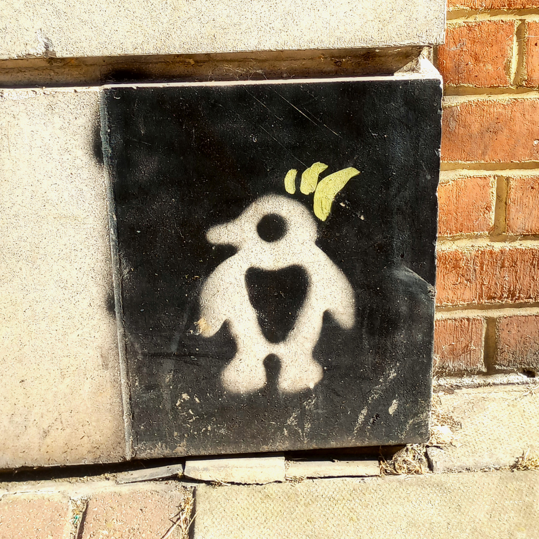 Picture of a small stencilled piece of street art. On a black background, a picture of a stylised penguin ? with a yellow crest.